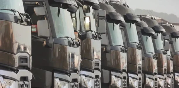 Renovación de flotas con stock inmediato